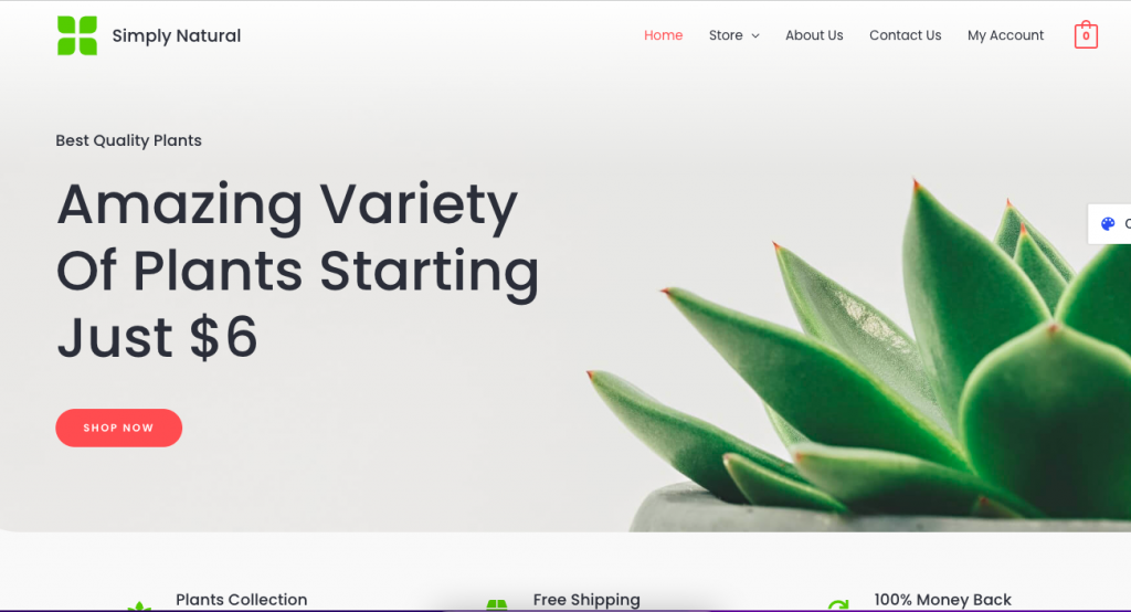 Astra WordPress Theme